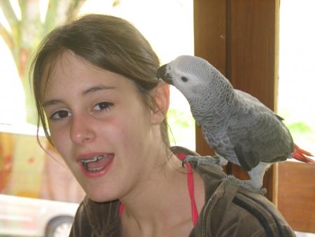 manou et chichounet