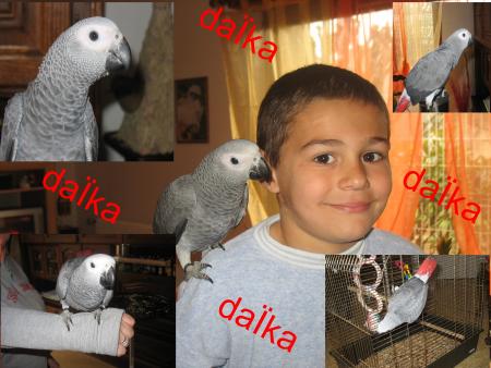 daka