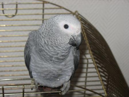 mon bébé